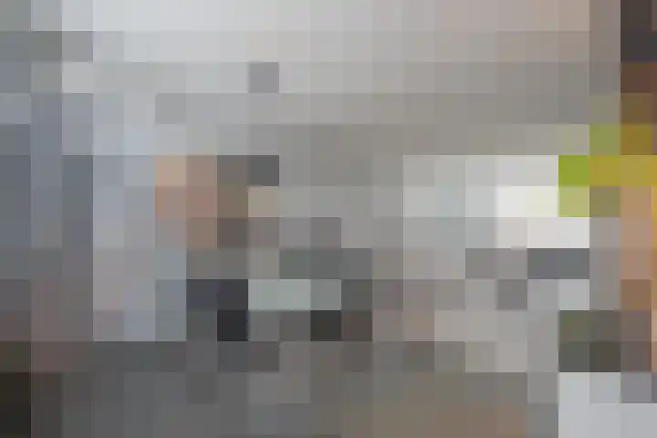Beemdkroon 74 Tiel thumbnail 25