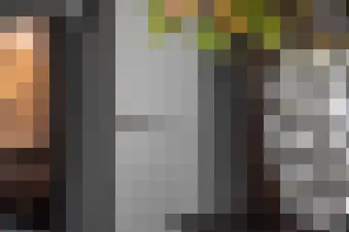 Beemdkroon 74 Tiel thumbnail 27
