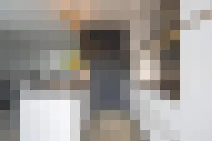 Beemdkroon 74 Tiel thumbnail 28