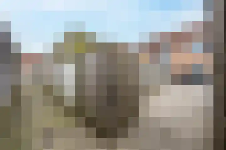 Beemdkroon 74 Tiel thumbnail 35
