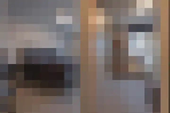 Beemdkroon 74 Tiel thumbnail 39