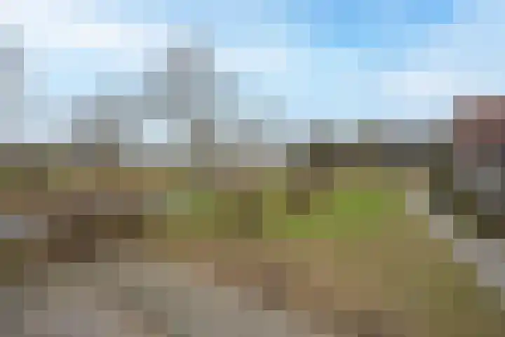 Beemdkroon 74 Tiel thumbnail 4