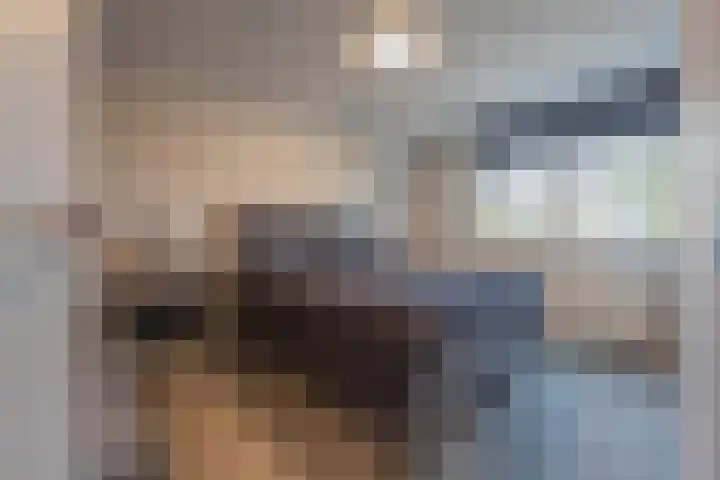 Beemdkroon 74 Tiel thumbnail 40