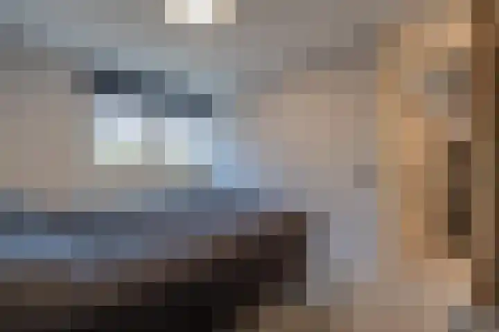 Beemdkroon 74 Tiel thumbnail 42
