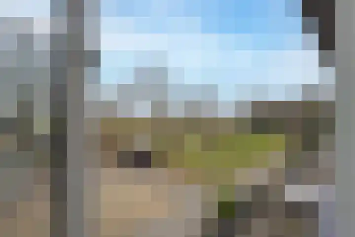 Beemdkroon 74 Tiel thumbnail 48