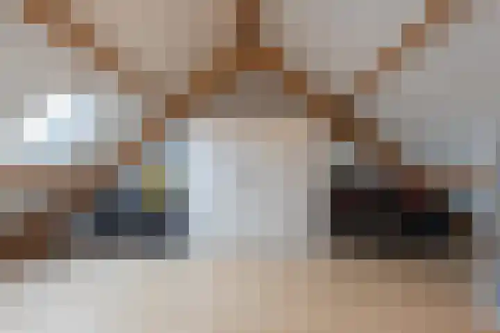 Beemdkroon 74 Tiel thumbnail 54