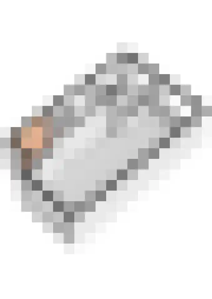 Beemdkroon 74 Tiel thumbnail 60