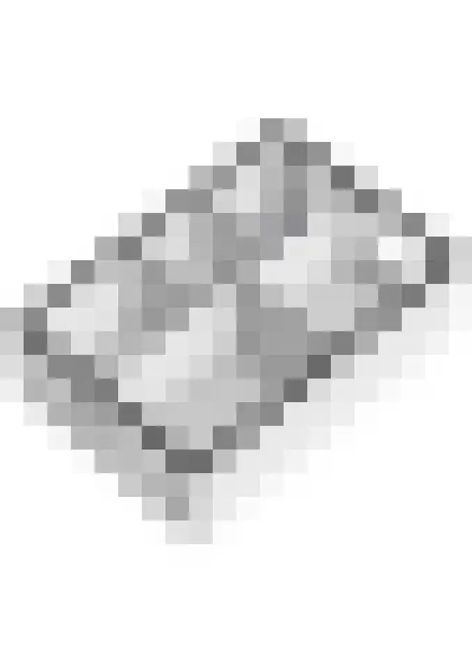 Beemdkroon 74 Tiel thumbnail 62