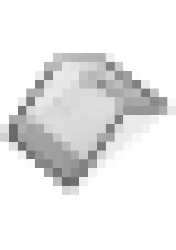 Beemdkroon 74 Tiel thumbnail 64