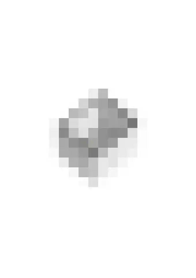 Beemdkroon 74 Tiel thumbnail 66
