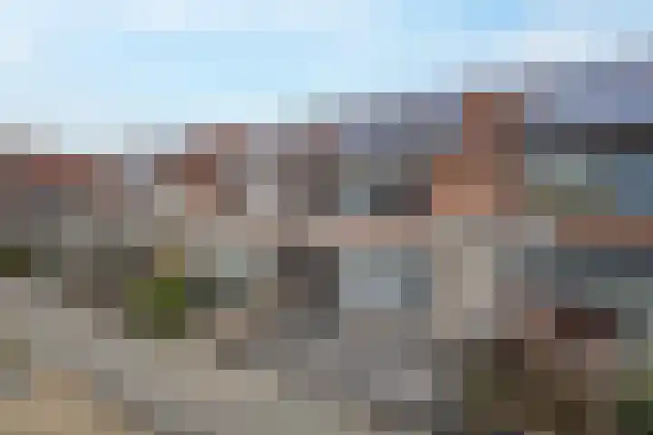 Beemdkroon 74 Tiel thumbnail 7