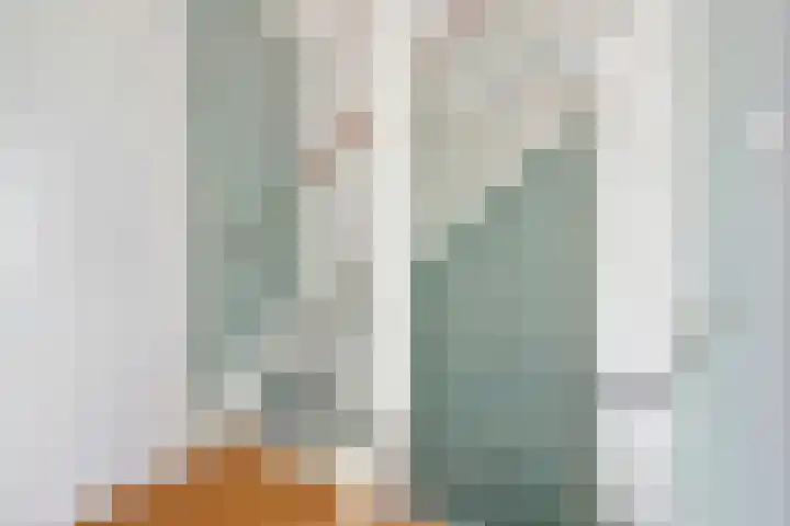 Beemdkroon 80 Tiel thumbnail 31