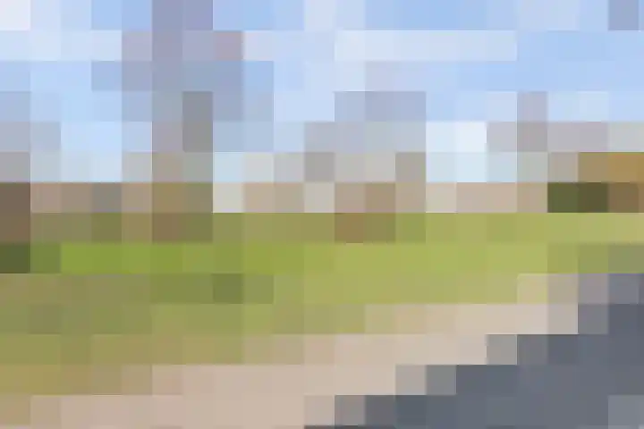 Beemdkroon 80 Tiel thumbnail 41