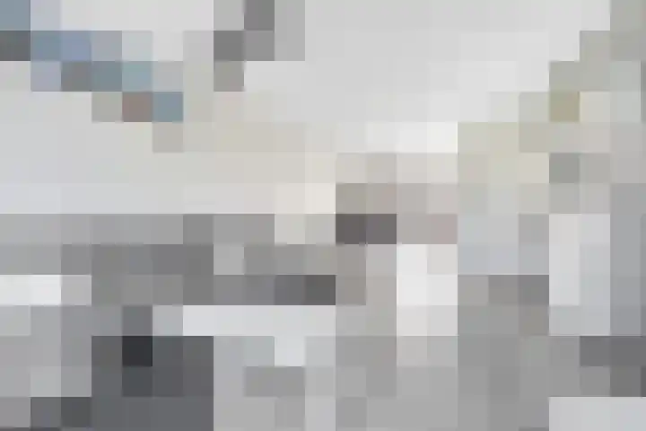 Beemdkroon 80 Tiel thumbnail 5