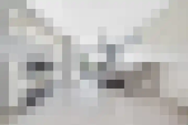Beemdkroon 80 Tiel thumbnail 6
