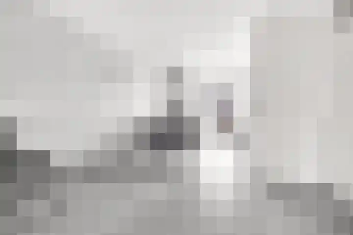 Beemdkroon 80 Tiel thumbnail 8