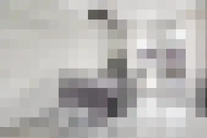 Beemdkroon 80 Tiel thumbnail 9
