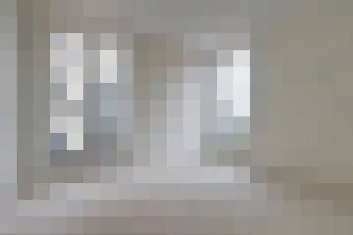Beemdkroon 86 Bergen op Zoom thumbnail 10