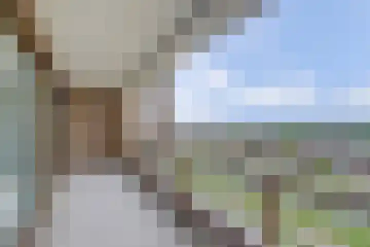Beemdkroon 86 Bergen op Zoom thumbnail 22