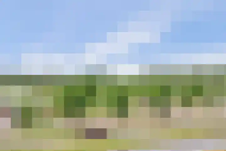 Beemdkroon 86 Bergen op Zoom thumbnail 23