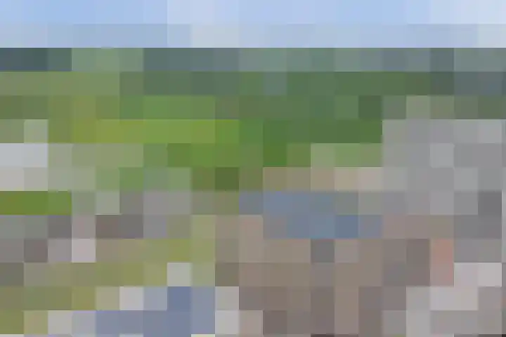 Beemdkroon 86 Bergen op Zoom thumbnail 29