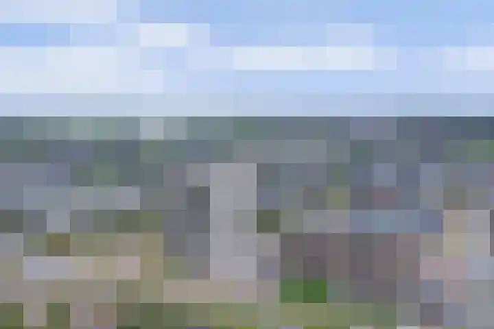 Beemdkroon 86 Bergen op Zoom thumbnail 30