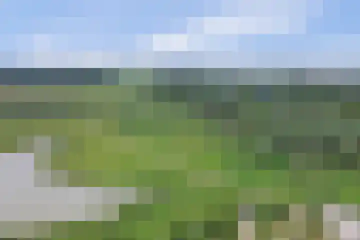 Beemdkroon 86 Bergen op Zoom thumbnail 33