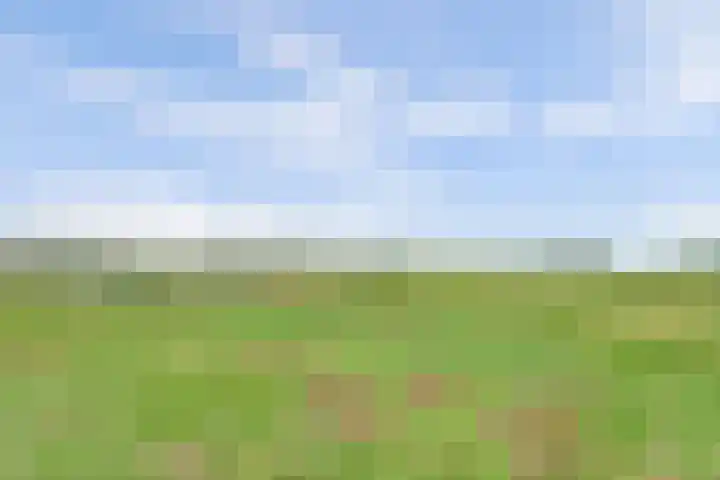 Beemdkroon 86 Bergen op Zoom thumbnail 34