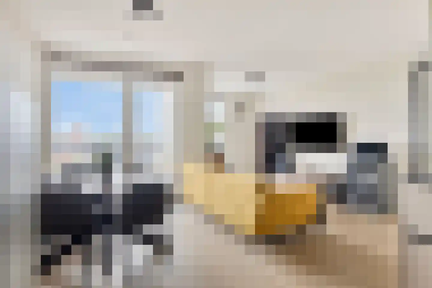 Beemdkroon 94 Bergen op Zoom thumbnail 5