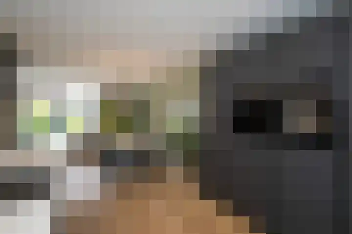 Beemdlaar 17 Almere thumbnail 11