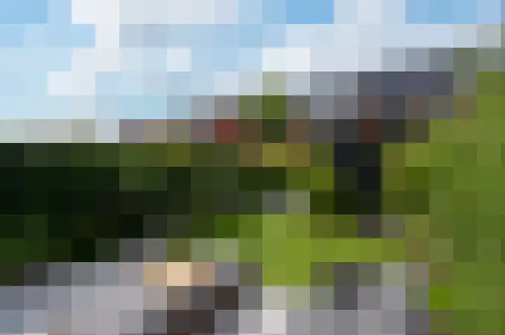 Beemdlaar 17 Almere thumbnail 15