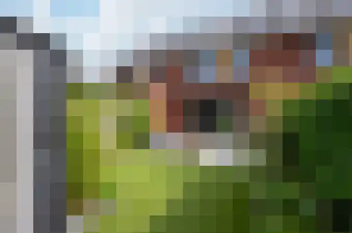 Beemdlaar 17 Almere thumbnail 18