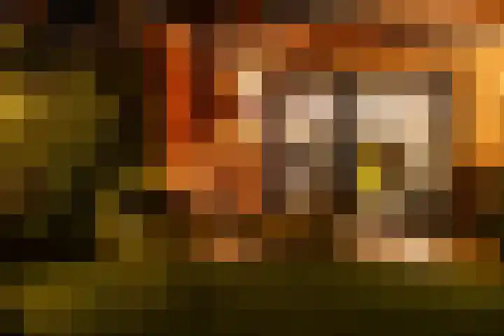 Beemdlaar 17 Almere thumbnail 22