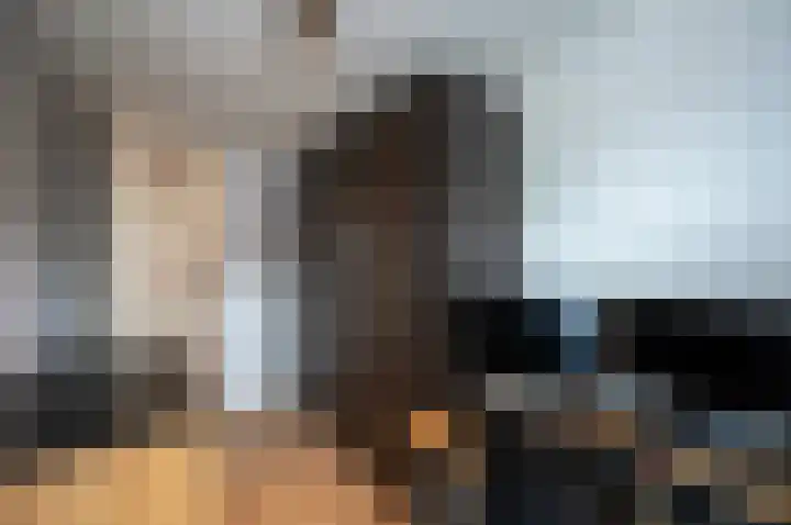Beemdlaar 17 Almere thumbnail 31