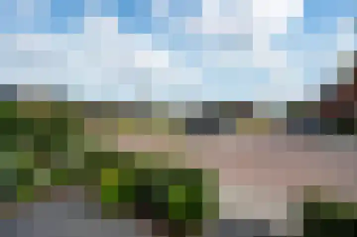 Beemdlaar 17 Almere thumbnail 42