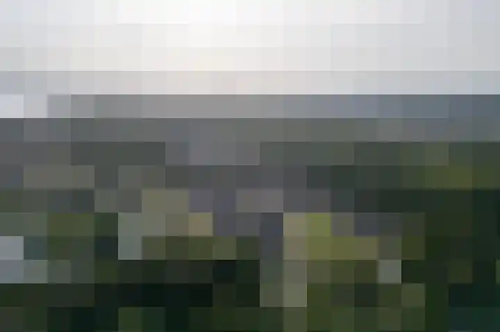 Beemdlaar 17 Almere thumbnail 47