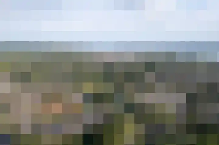 Beemdlaar 17 Almere thumbnail 48