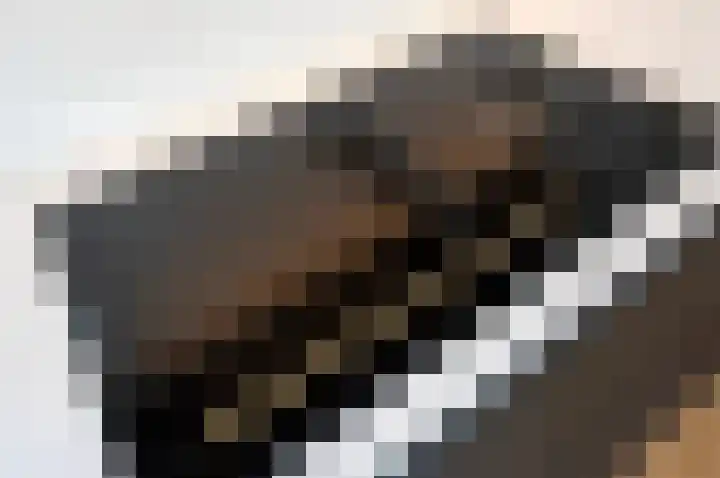 Beemdlaar 17 Almere thumbnail 9