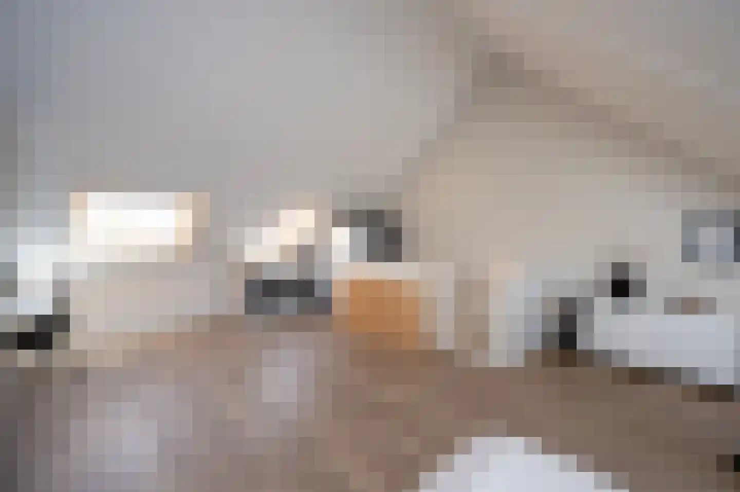 Beemdlaar 19 Almere thumbnail 54