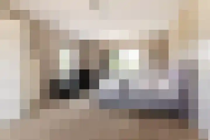 Beemdlaar 52 Almere thumbnail 33