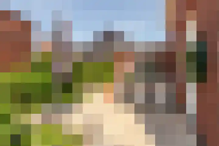 Beemdlaar 52 Almere thumbnail 58