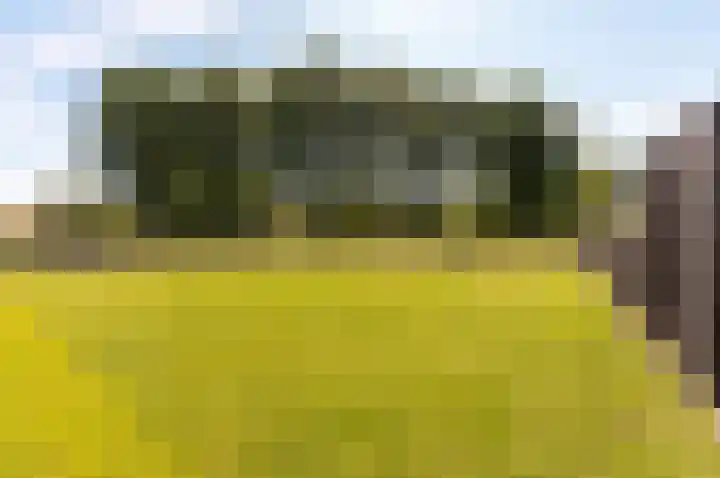 Beemdlaar 52 Almere thumbnail 62