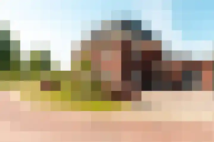 Beemdlaar 52 Almere thumbnail 64