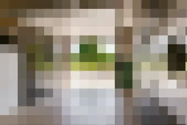 Beemdlaar 52 Almere thumbnail 67