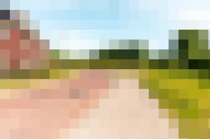 Beemdlaar 52 Almere thumbnail 69