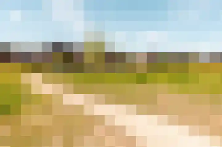 Beemdlaar 52 Almere thumbnail 73
