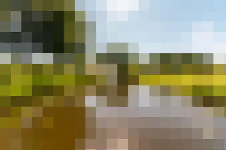 Beemdlaar 52 Almere thumbnail 75