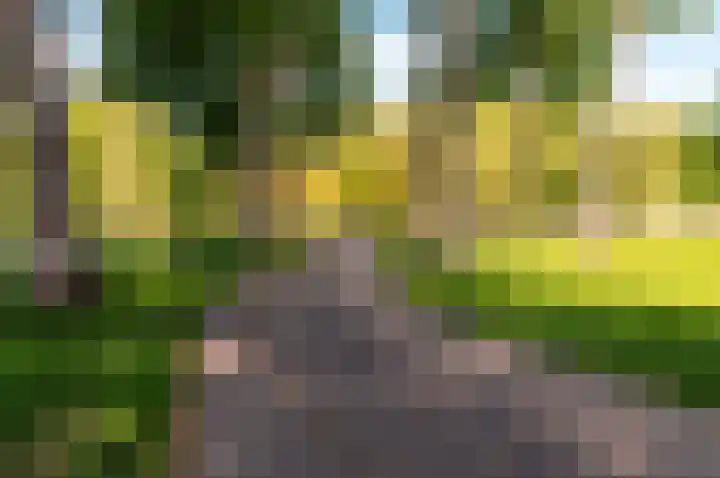 Beemdlaar 52 Almere thumbnail 76