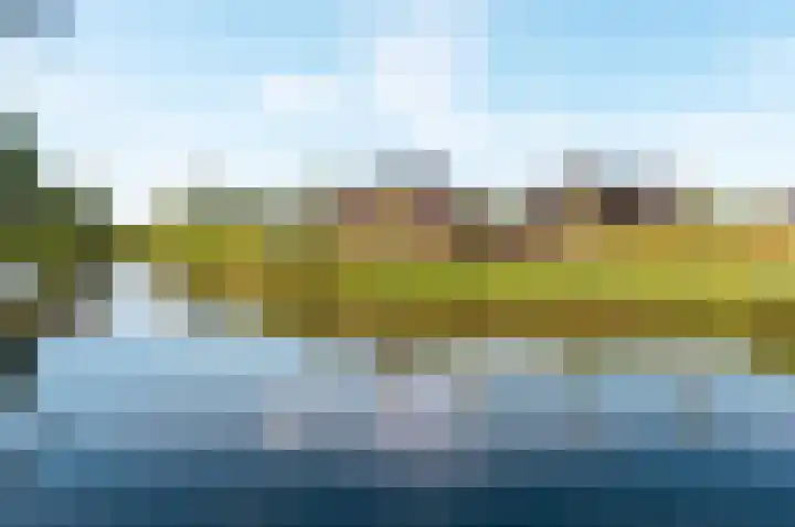 Beemdlaar 52 Almere thumbnail 77