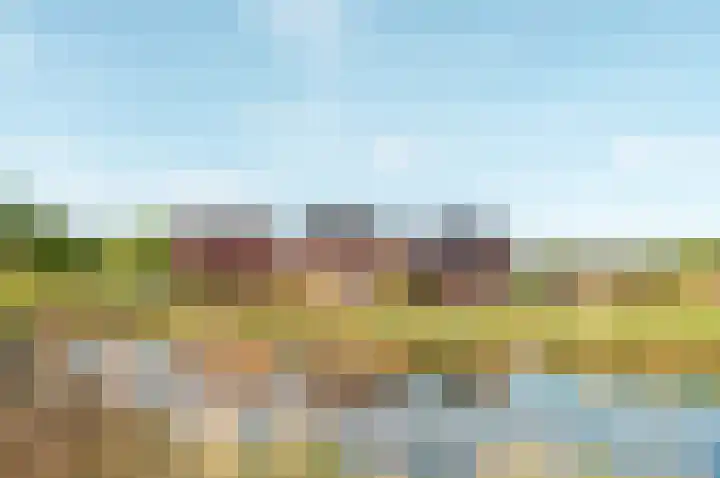 Beemdlaar 52 Almere thumbnail 78